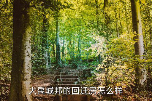 大禹城邦的回遷房怎么樣