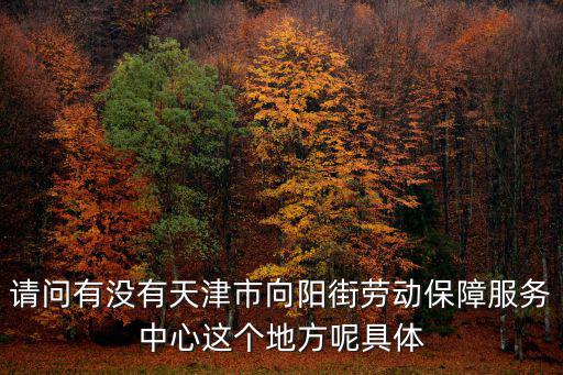 請問有沒有天津市向陽街勞動保障服務中心這個地方呢具體