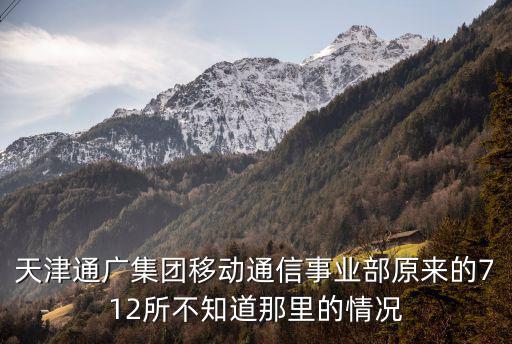 天津市紅網移動公司老總，移動公司老總是誰啊