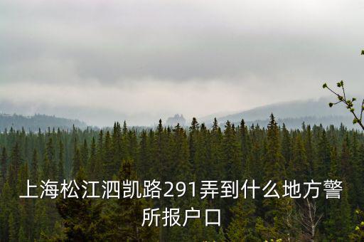 上海松江泗凱路291弄到什么地方警所報(bào)戶口