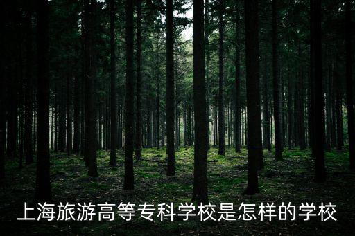 上海旅游高等專科學校是怎樣的學校