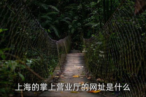 上海的掌上營業(yè)廳的網(wǎng)址是什么