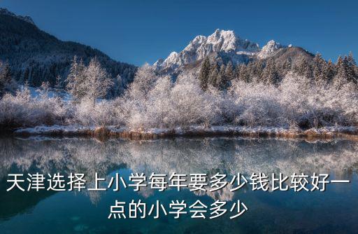 天津選擇上小學(xué)每年要多少錢比較好一點(diǎn)的小學(xué)會多少