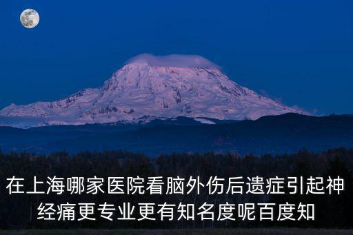 在上海哪家醫院看腦外傷后遺癥引起神經痛更專業更有知名度呢百度知