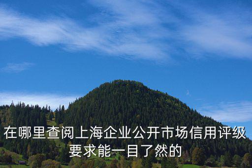 在哪里查閱上海企業公開市場信用評級要求能一目了然的
