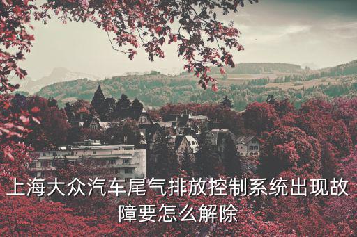 上海解除管控，上海大眾汽車尾氣排放控制系統出現故障要怎么解除