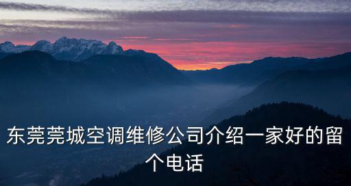 東莞開利空調保養公司，開利公司是一個以什么為主要產品的公司