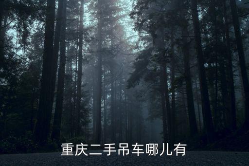 重慶二手吊車哪兒有