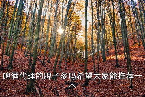 深圳柏緹酒業(yè)有限公司，啤酒代理的牌子多嗎希望大家能推薦一個