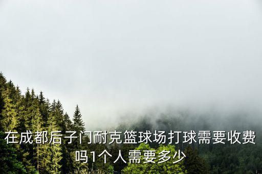 在成都后子門耐克籃球場打球需要收費嗎1個人需要多少