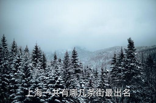 上海一共有哪幾條街最出名