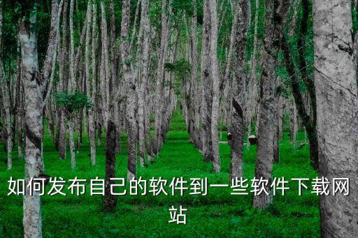 如何發布自己的軟件到一些軟件下載網站