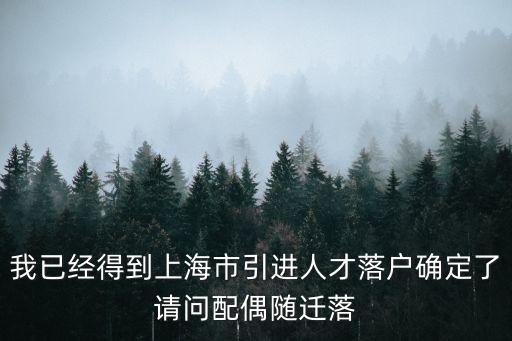 我已經(jīng)得到上海市引進人才落戶確定了請問配偶隨遷落
