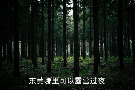 東莞哪里可以露營過夜