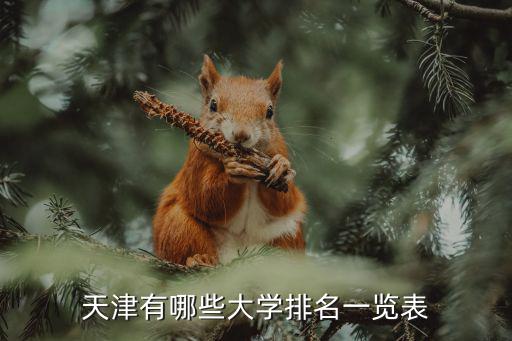 天津有哪些大學排名一覽表