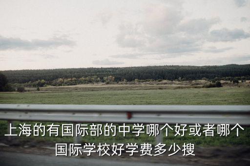 上海的有國(guó)際部的中學(xué)哪個(gè)好或者哪個(gè)國(guó)際學(xué)校好學(xué)費(fèi)多少搜