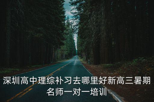 2020深圳高三期末理綜，深圳高中理綜補(bǔ)習(xí)去哪里好新高三暑期名師一對(duì)一培訓(xùn)