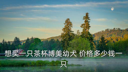 想買(mǎi)一只茶杯博美幼犬 價(jià)格多少錢(qián)一只
