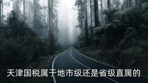 天津國稅屬于地市級還是省級直屬的