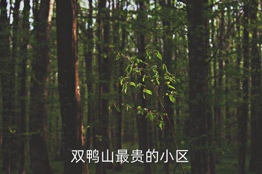 雙鴨山最貴的小區