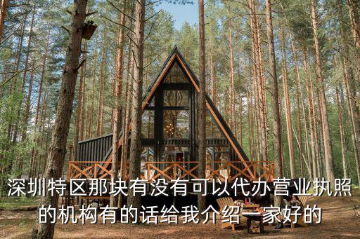 深圳代辦營業執照的正規公司，深圳特區那塊有沒有可以代辦營業執照的機構有的話給我介紹一家好的