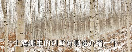 上海哪里的別墅好啊誰介紹一下