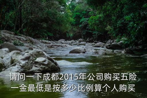 請問一下成都2015年公司購買五險一金最低是按多少比例算個人購買