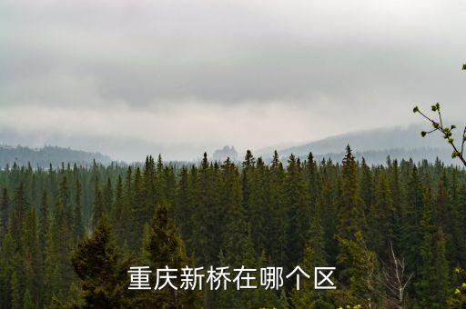 重慶市白沙沱新橋可以過行人嗎，重慶大佛寺長江大橋上能過行人不