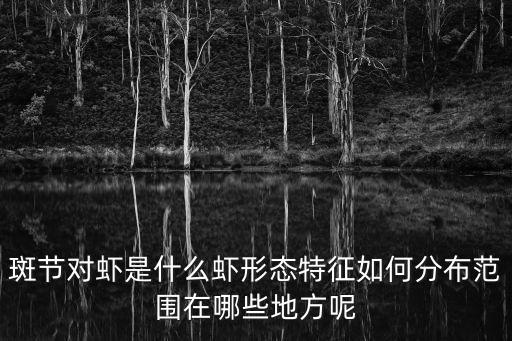 上海市場(chǎng)現(xiàn)在斑節(jié)王草蝦價(jià)格，一只斑節(jié)蝦多少克