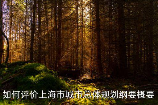 2018年上海市城市總體規劃，上海城市規劃的一主兩軸四翼指什么