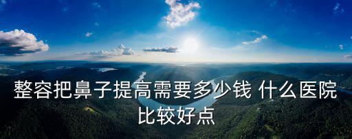 整容把鼻子提高需要多少錢 什么醫院比較好點