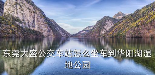 東莞大盛公交車站怎么坐車到華陽湖濕地公園