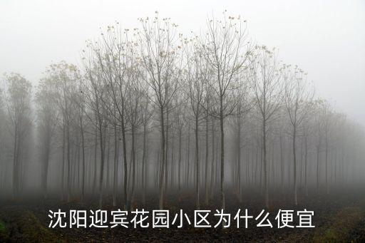 沈陽迎賓花園小區為什么便宜