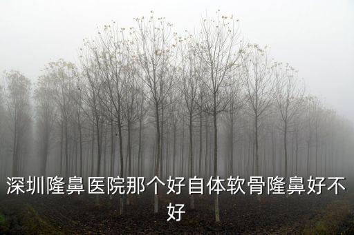深圳隆鼻醫院那個好自體軟骨隆鼻好不好