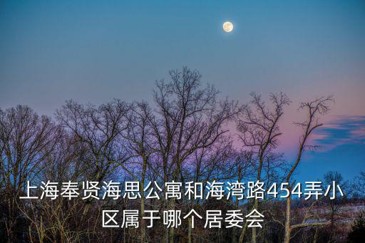上海奉賢海思公寓和海灣路454弄小區屬于哪個居委會