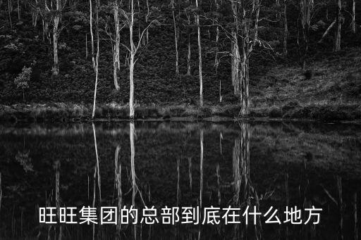 旺旺集團(tuán)的總部到底在什么地方