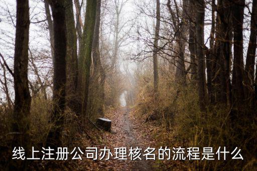 網(wǎng)上注冊公司核名流程，網(wǎng)上怎么注冊公司