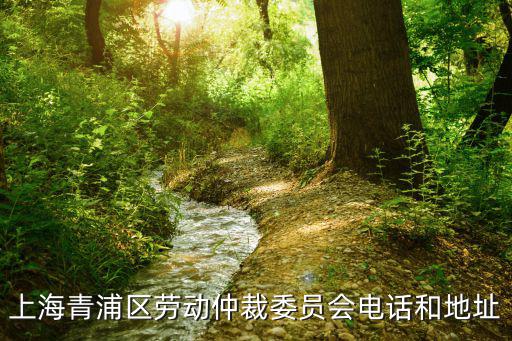 上海青浦區(qū)勞動(dòng)仲裁委員會(huì)電話和地址