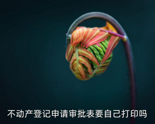 不動(dòng)產(chǎn)登記申請(qǐng)審批表要自己打印嗎