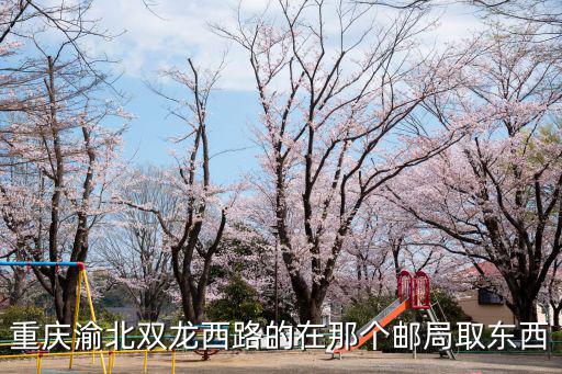 重慶渝北雙龍西路的在那個郵局取東西