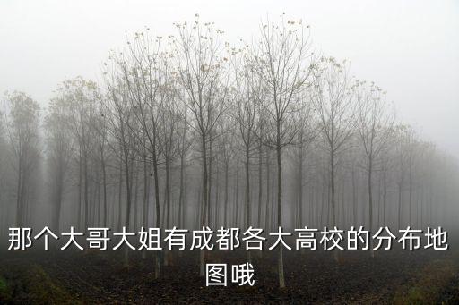 那個大哥大姐有成都各大高校的分布地圖哦