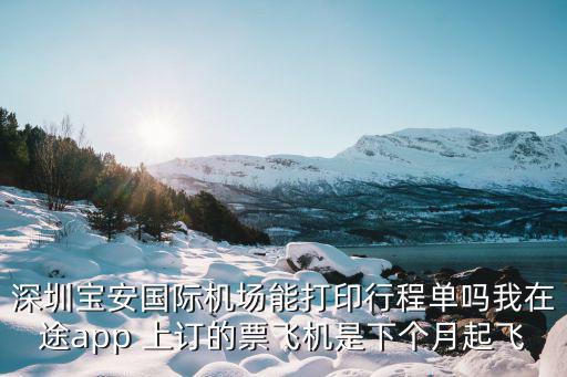 深圳寶安國際機場能打印行程單嗎我在途app 上訂的票飛機是下個月起飛