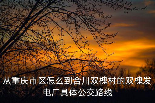 從重慶市區怎么到合川雙槐村的雙槐發電廠具體公交路線