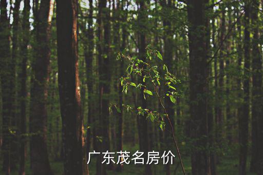 廣東茂名房價
