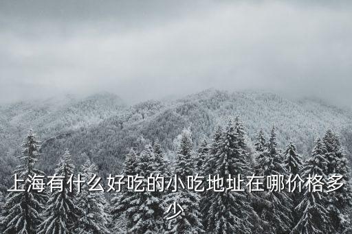 上海有什么好吃的小吃地址在哪價格多少