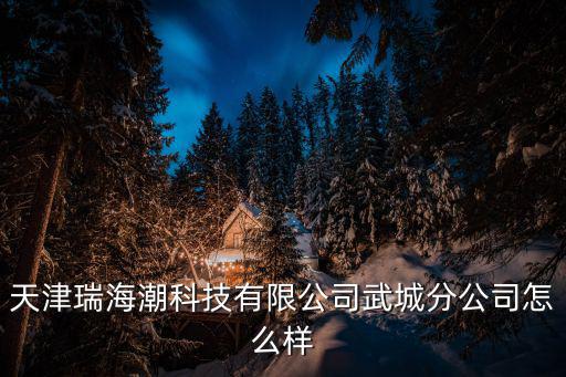天津市瑞海潮科技有限公司，北京川天下公司靠譜嗎