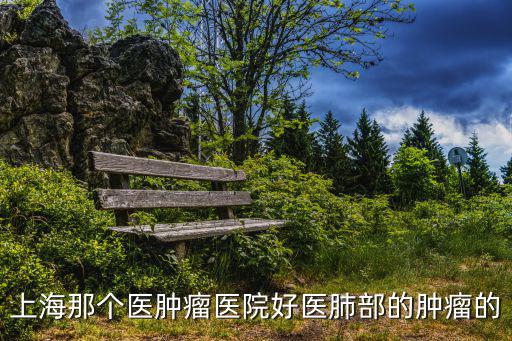 上海那個醫腫瘤醫院好醫肺部的腫瘤的
