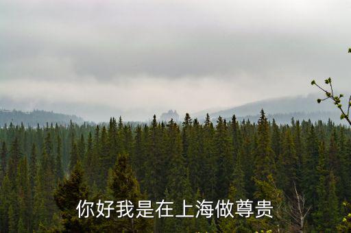 你好我是在上海做尊貴