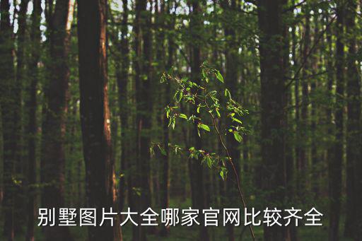 別墅圖片大全哪家官網比較齊全