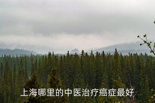 上海哪里的中醫治療癌癥最好